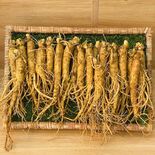 Sâm Tươi Hầm Gà loại nhỏ 500gr dành cho gia đình 8 người