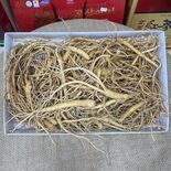 Rễ Sâm Tươi Hàn Quốc 1kg