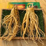 Sâm Tươi Hàn Quốc 2 củ 1 kg