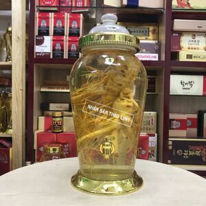 Bình ngâm rượu sâm Hàn Quốc 9 lít số 8