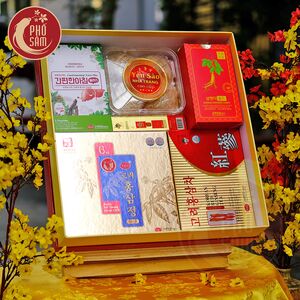 Hộp Quà Tết Sức Khoẻ Hồng Sâm NPS52 - H4600