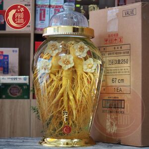 Bình ngâm sâm tươi hàn quốc 25 lít 7 củ sâm cực to bình số 3 có van