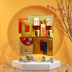 Giỏ Quà Tết Cao Cấp Sức Khoẻ CBS21-A9-G2850