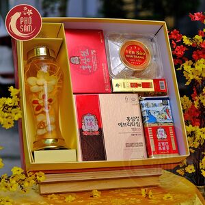 Hộp Quà Tết Sức Khoẻ Hồng Sâm NPS47 - H7500