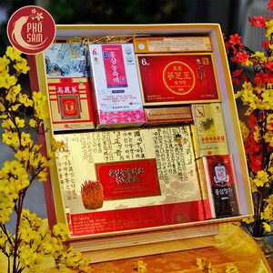 Hộp Quà Tết Sức Khoẻ Hồng Sâm NPS50- H9200